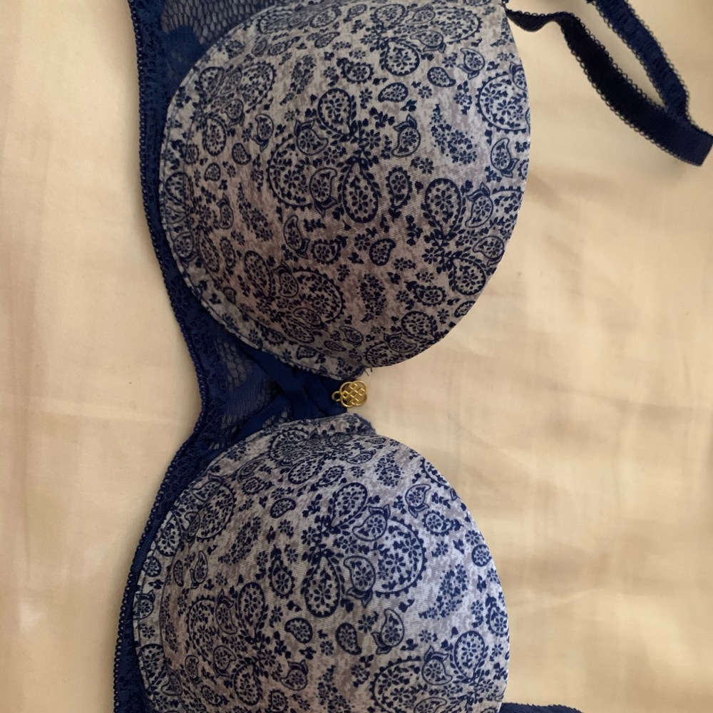 Daisy Fuentes 34B Bra